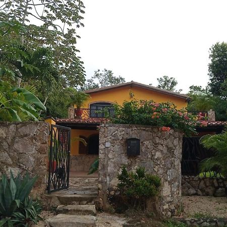 Casa Mango Bed & Breakfast Tulum Luaran gambar