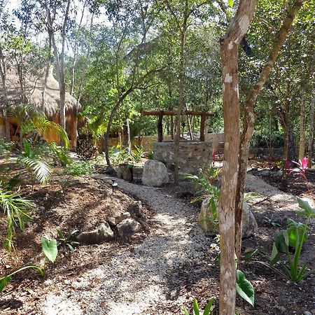 Casa Mango Bed & Breakfast Tulum Luaran gambar