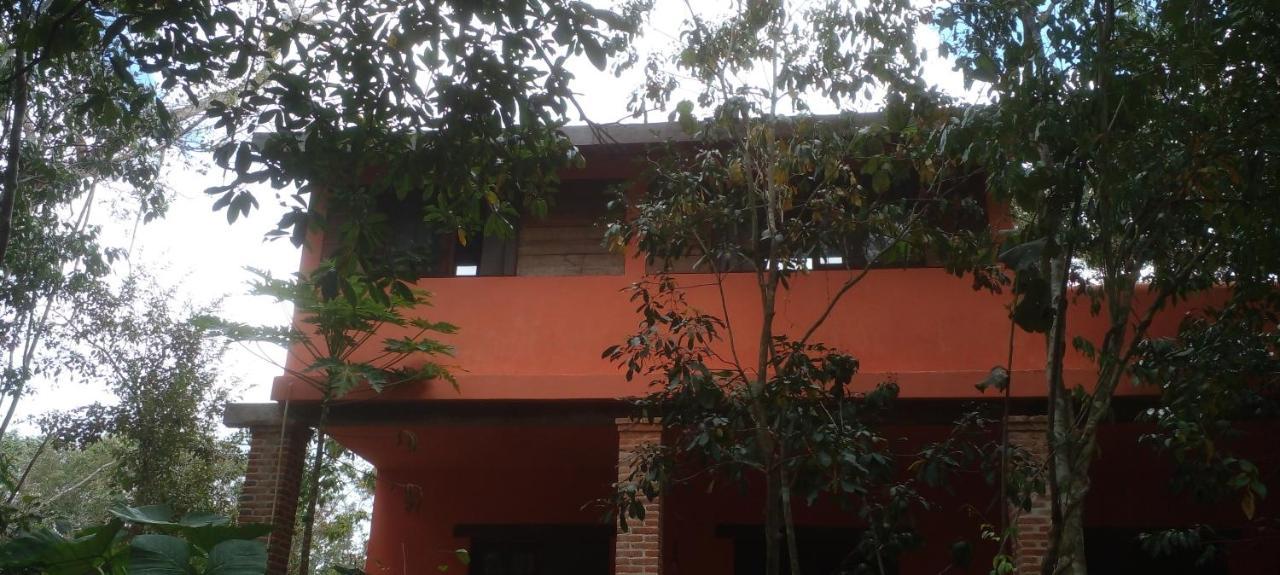 Casa Mango Bed & Breakfast Tulum Luaran gambar