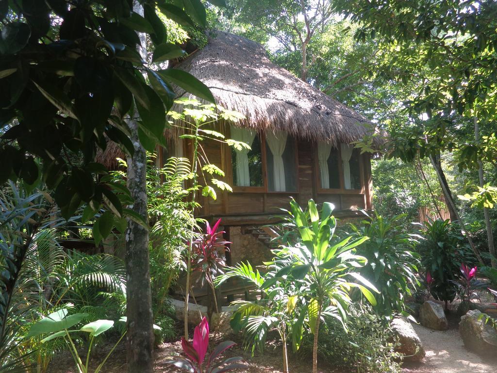 Casa Mango Bed & Breakfast Tulum Bilik gambar