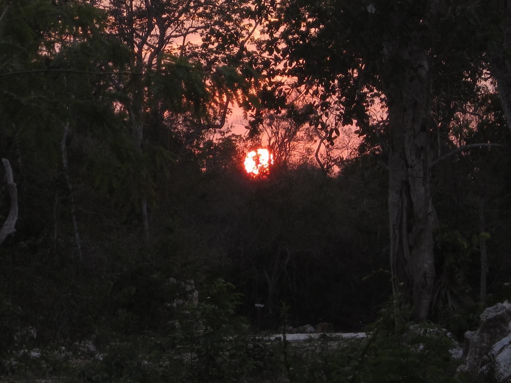 Casa Mango Bed & Breakfast Tulum Luaran gambar