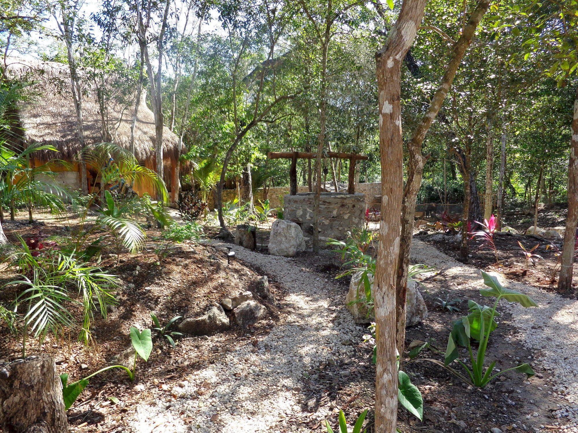 Casa Mango Bed & Breakfast Tulum Luaran gambar