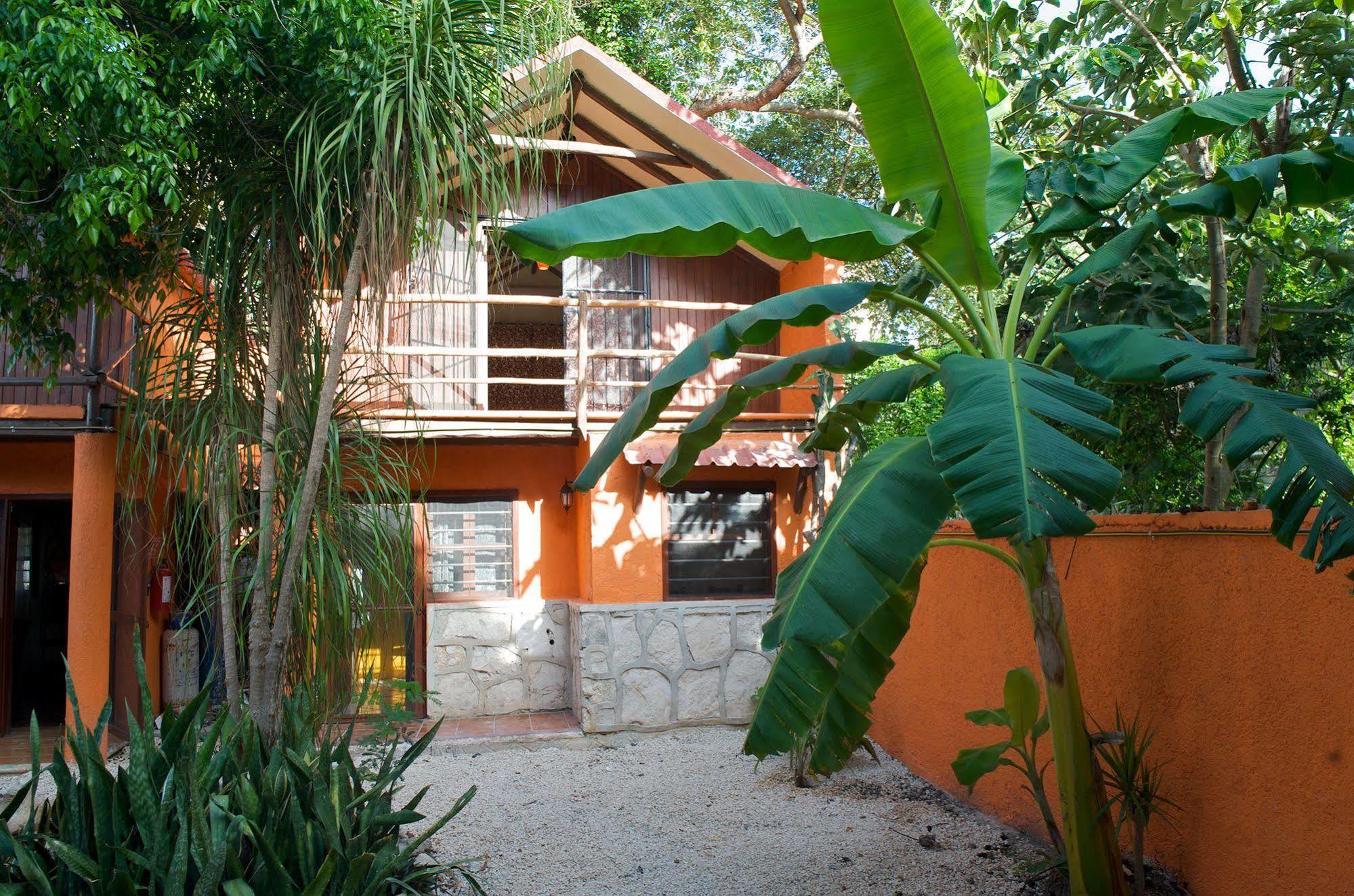 Casa Mango Bed & Breakfast Tulum Luaran gambar