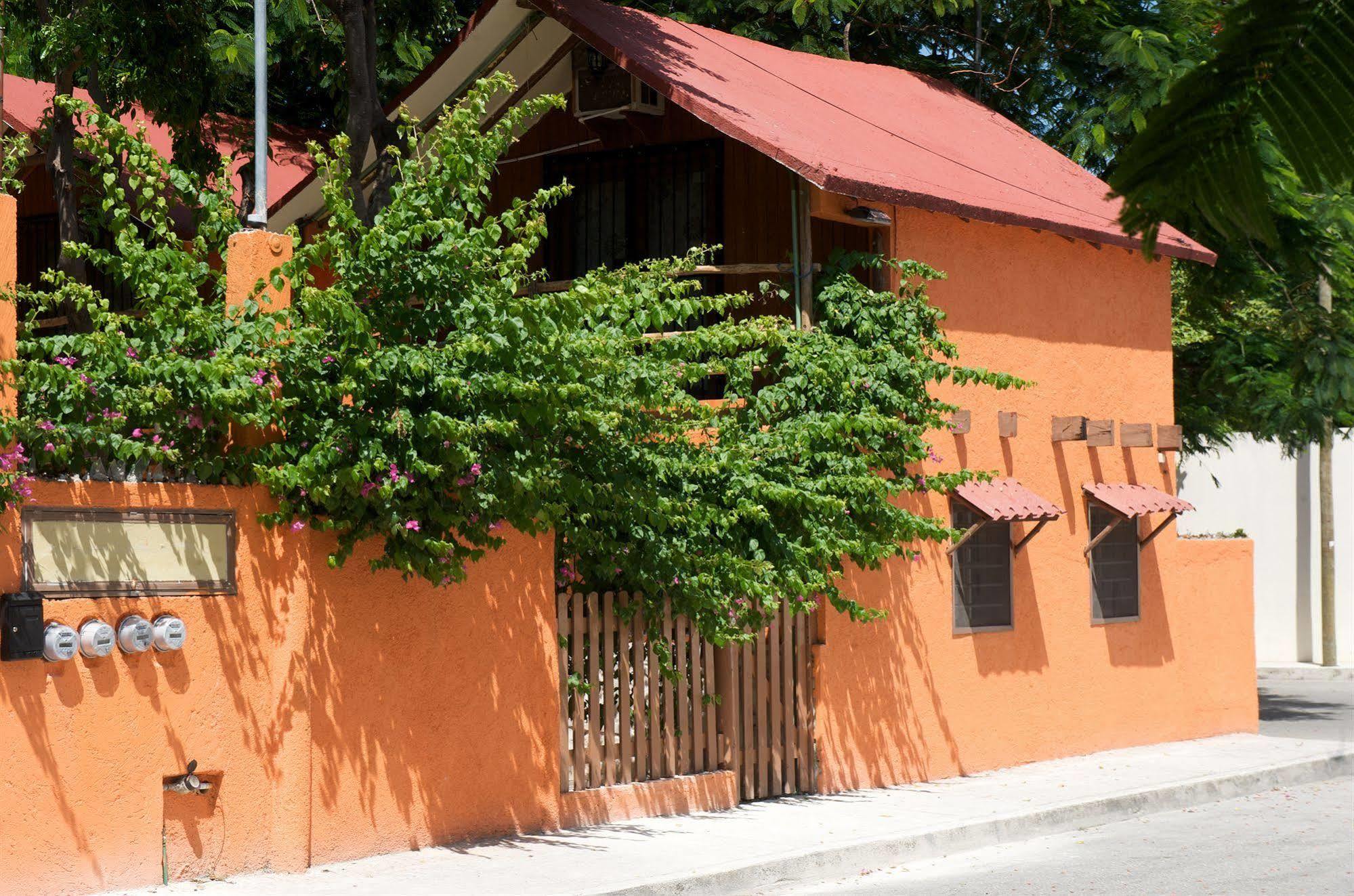 Casa Mango Bed & Breakfast Tulum Luaran gambar
